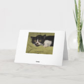 I Misser You, het Schuwe Katje van de Smoking Kaart (Achterkant)