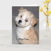 I Misser You. - Puppy Havanese Kaart (Gele Bloem)