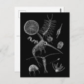 I ❤ PLANKToN Briefkaart (Voorkant / Achterkant)