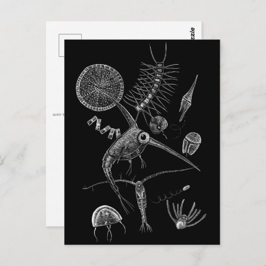 I ❤ PLANKToN Briefkaart (Voorkant / Achterkant)