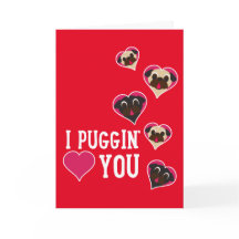I Puggin houdt van u Pug van de Valentijnsdag