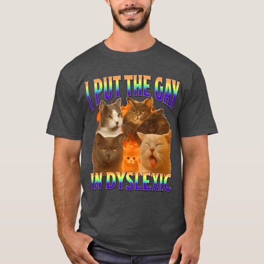 i put the gay in dysleic funny cat meme gift t-shirt (Voorkant)