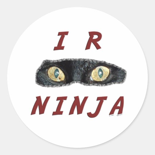 I-R-Ninja Stickers (Voorkant)