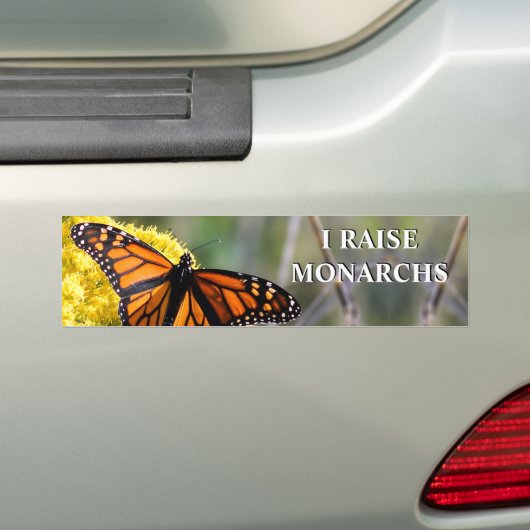 I Raise Monarchs Bumpersticker (Op auto)