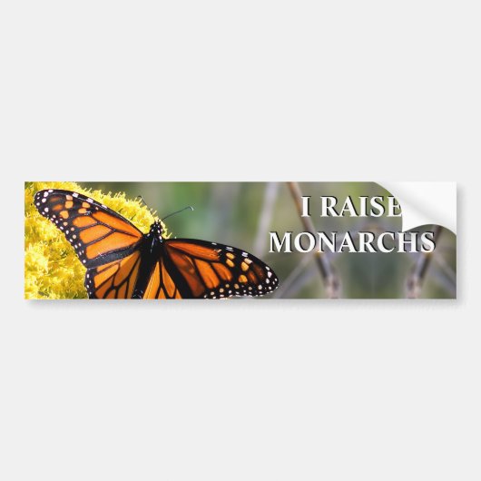 I Raise Monarchs Bumpersticker (Voorkant)