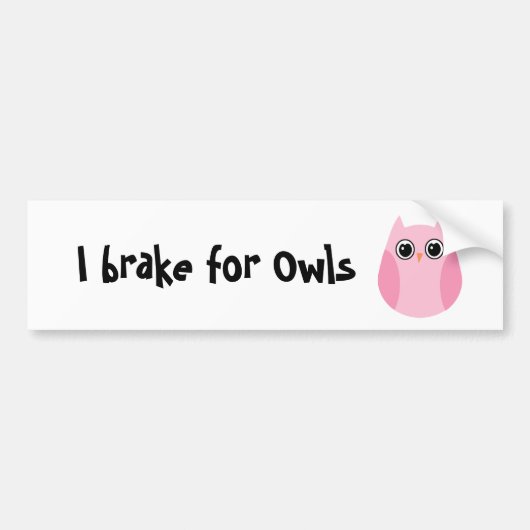 I rem for Owls Bumpersticker (Voorkant)