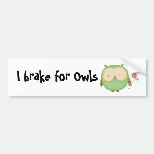 I rem for Owls Bumpersticker (Voorkant)