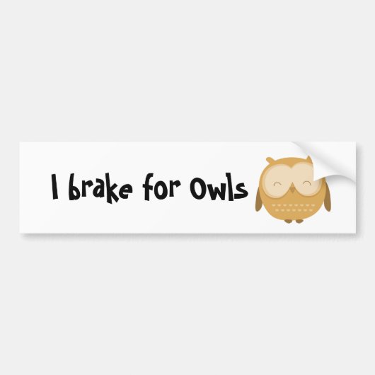 I rem for Owls Bumpersticker (Voorkant)