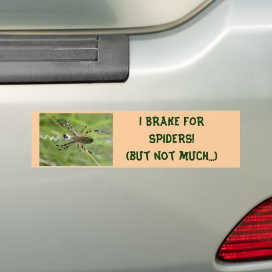 I REM FOR SPIDERS (not many) bumper sticker (Op auto)