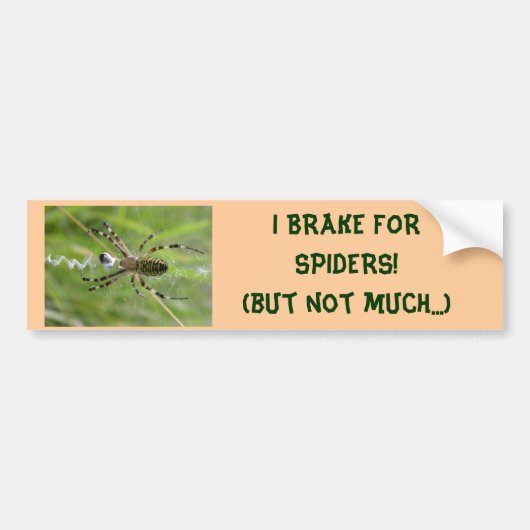 I REM FOR SPIDERS (not many) bumper sticker (Voorkant)