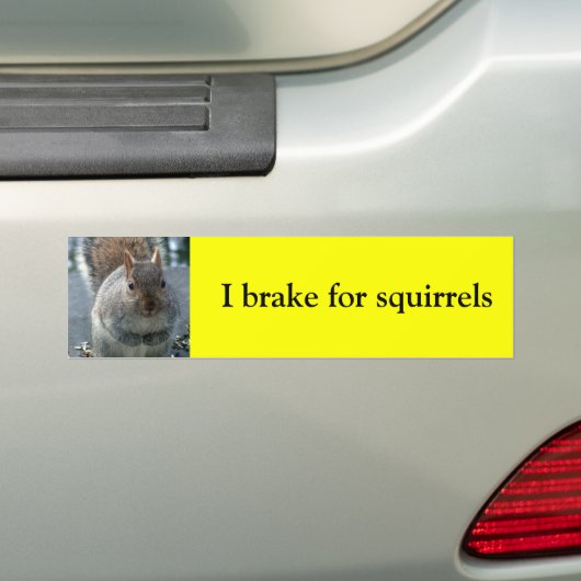 I rem op eekhoorntjes bumpersticker (Op auto)