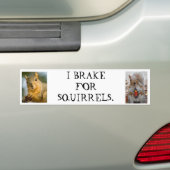 I rem op eekhoorntjes bumpersticker (Op auto)
