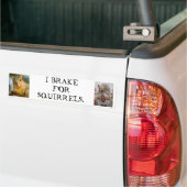 I rem op eekhoorntjes bumpersticker (Op Truck)