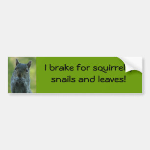 I rem op eekhoorntjes, slakken en bladeren bumpersticker