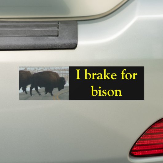 I rem voor bizon bumpersticker (Op auto)