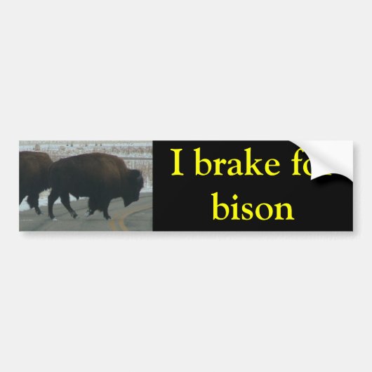 I rem voor bizon bumpersticker (Voorkant)