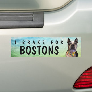 I Rem voor bumper-sticker voor borstels Bumpersticker