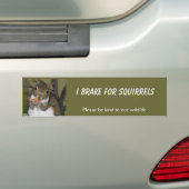 I Rem voor Bumpersticker van eekhoorns (Op auto)