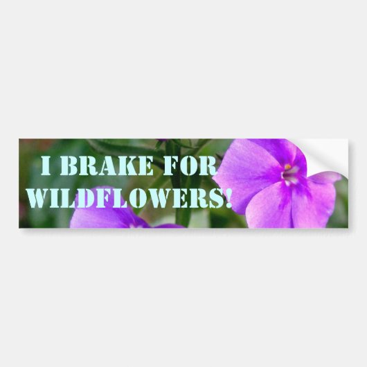 I Rem voor Bumpersticker van wilde bloemen (Voorkant)