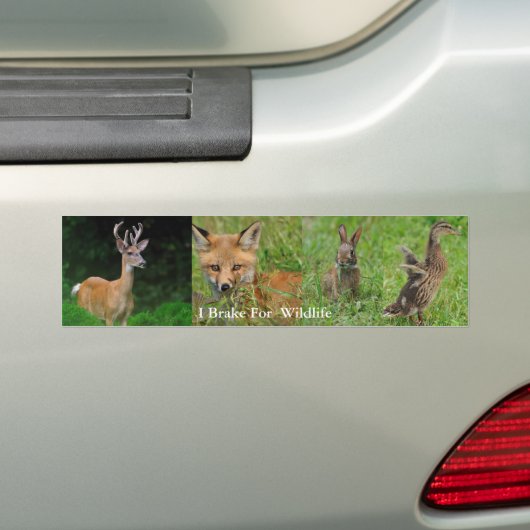 I Rem voor Bumpersticker van wilde dieren (Op auto)