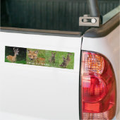 I Rem voor Bumpersticker van wilde dieren (Op Truck)