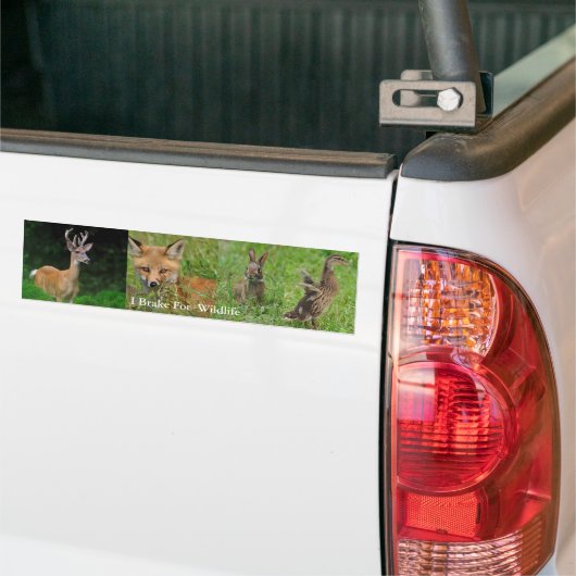 I Rem voor Bumpersticker van wilde dieren (Op Truck)