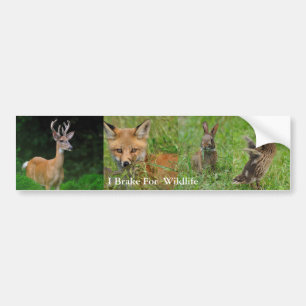 I Rem voor Bumpersticker van wilde dieren