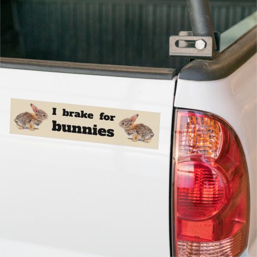 I Rem voor Bunnies Bumpersticker (Op Truck)