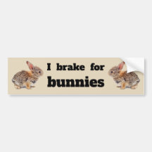 I Rem voor Bunnies
