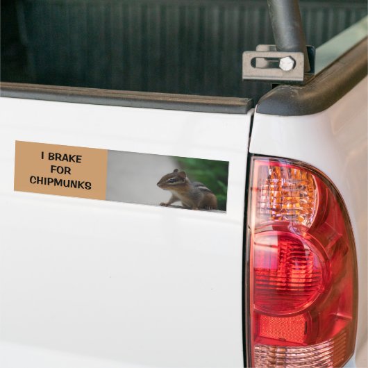 I Rem voor Chipmunks Bumpersticker (Op Truck)