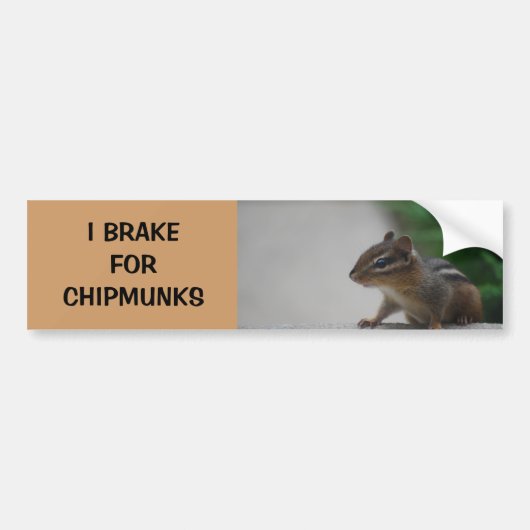 I Rem voor Chipmunks Bumpersticker (Voorkant)