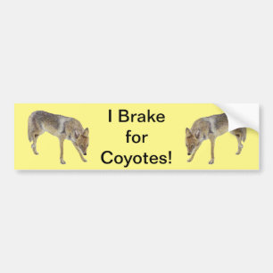 I Rem voor coyotes Bumpersticker