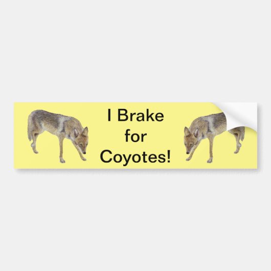 I Rem voor coyotes Bumpersticker (Voorkant)