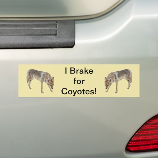 I Rem voor coyotes Bumpersticker (Op auto)