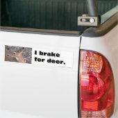 I Rem voor Deer Bumpersticker (Op Truck)