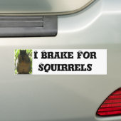 I Rem voor eekhoorns - Humor Bumpersticker (Op auto)