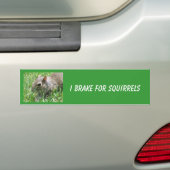 I Rem voor eekhoorns met "Clicker" Bumpersticker (Op auto)