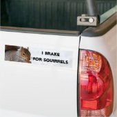 I Rem voor eekhoorntjes bumpersticker (Op Truck)