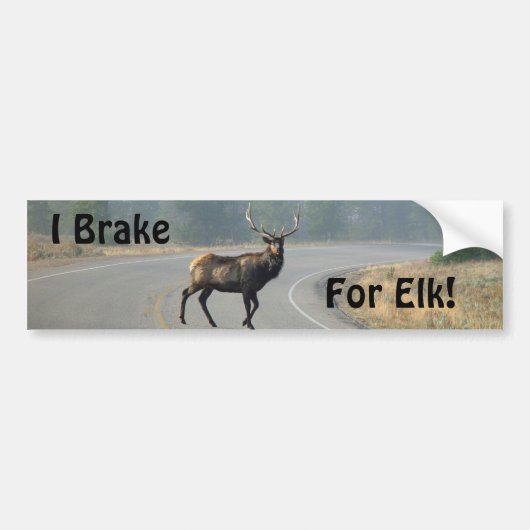 I Rem voor elke Bumpersticker (Voorkant)