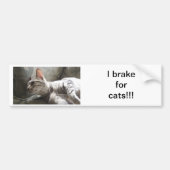 I Rem voor katten Bumpersticker (Voorkant)