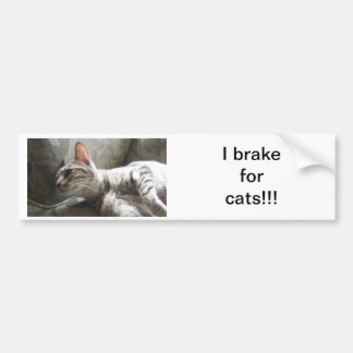 I Rem voor katten Bumpersticker