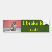 I rem voor katten bumpersticker (Voorkant)