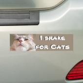 I rem voor katten bumpersticker (Op auto)