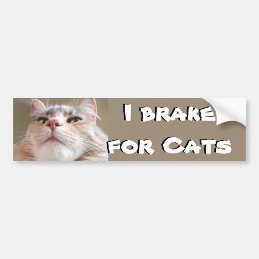 I rem voor katten bumpersticker (Voorkant)