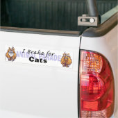 I Rem voor katten Bumpersticker (Op Truck)