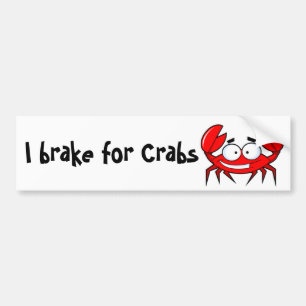 I rem voor krabben bumpersticker