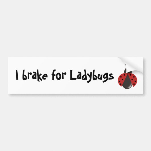 I rem voor Ladybugs Bumpersticker (Voorkant)