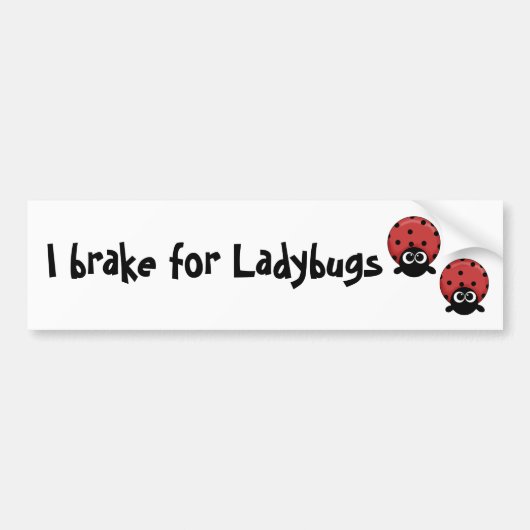 I rem voor Ladybugs Bumpersticker (Voorkant)