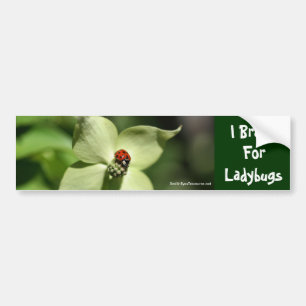 I Rem voor Ladybugs Flower Photo Bumpersticker