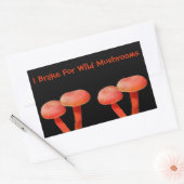 I Rem voor Natuur van paddenstoelen Rechthoekige Sticker (Envelop)